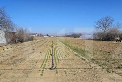 Teren de 4550 mp, în Sântuhalm