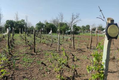 Casă cu 4 camere în Romanu - 2