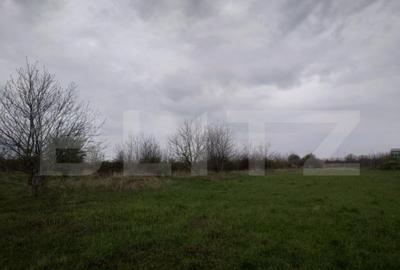 Teren intravilan, 3515 mp, zona Crevedia - 28