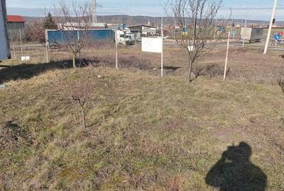 Teren de 2450 mp, în Oșorhei - 1