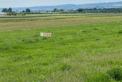 Teren agricol intravilan de 10759 mp, în Purcăreni (Micești)
