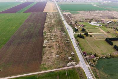 Teren agricol extravilan de 41800 mp, în Vladimirescu - 2