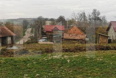 Investitie ! Casa individuala 1 camera, 51 mp, 3000 mp teren, Geaca ! - 3