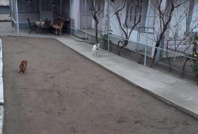 Casă cu 4 camere în Drăgănești - 3