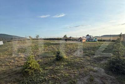 Cabana din lemn rotund, 2 camere, 140 mp, teren 2800 mp, Pal - 18