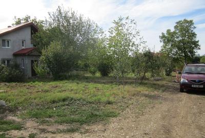 Domnesti Ciutaci-Zorelelor - 14