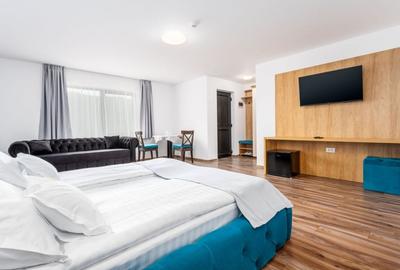 De vanzare - investitie la cheie - pensiune Voronet 8 camere  2023 - totul nou! - 6