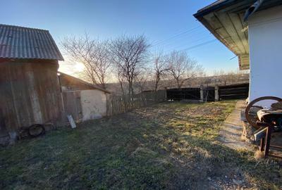 Spațiu comercial, în Șerbăuți