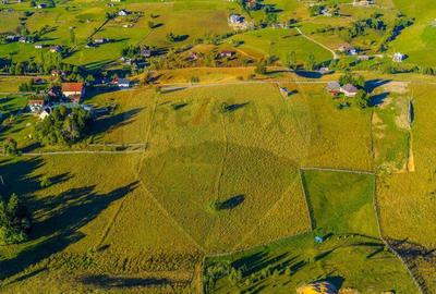 COMISION 0% Teren 19.300 mp/?irnea/ Oportunitate de inve... COMISION 0% Teren 19.300 mp/?irnea/ Oportunitate de inve... - 15