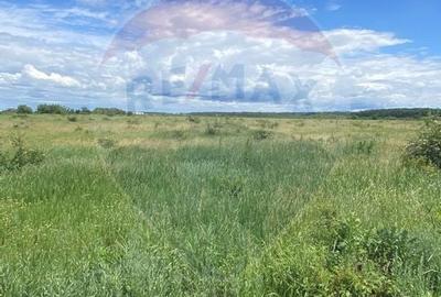 DE VANZARE Teren 5,000mp Sisesti Drumul Piscul Mosului - 9