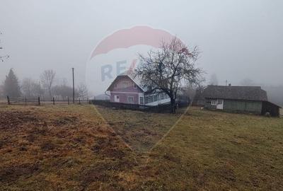 Teren Construcții intravilan de 26238 mp, în Dorna-Arini - 10