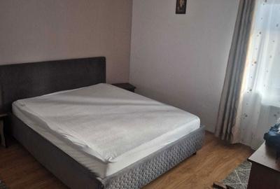 Garsonieră semidecomandată în Vișan - 2
