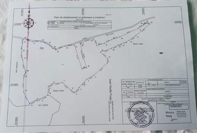 Teren de 100000 mp, în Blăjeni - 3