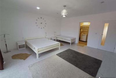 Casă cu 5 camere cu Teren 140 Mp în Moldova Nouă - 6