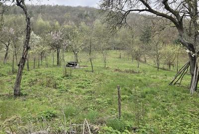 Casă cu 3 camere în Șuștiu - 6
