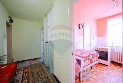 Apartament cu 2 camere semidecomandat, mobilat în Rogerius - 11