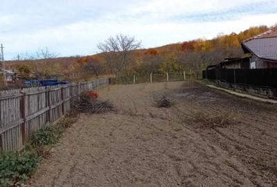 Teren intravilan- Com. Calinesti, jud. Arges - 6