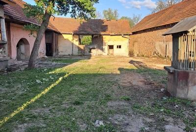 Casă cu 4 camere cu Teren 2000 Mp în Gura Văii - 3
