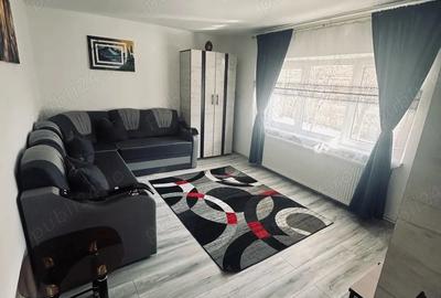 Apartament cu 2 camere decomandat în Noua - 4