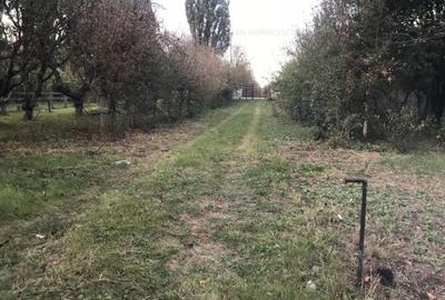 Teren Construcții intravilan de 500 mp, în Podu Iloaiei - 5