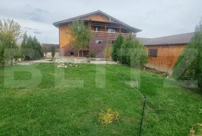 Proprietate multifunctionala,VILA,Teren 28000 mp+afacere piscicultura functionla - 4