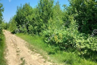 Teren intravilan 3900 mp Porumbacu de Sus, Sibiu - 9