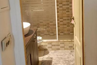 Apartament cu 2 camere decomandat, mobilat în Timpuri Noi - 8