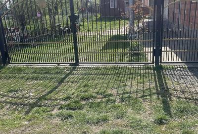 Casă cu Teren 533 Mp în Sânmihaiu Român - 5