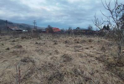 Spațiu comercial, în Cheia - 2