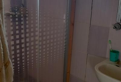 Dorobantilor casa 169000 euro - 5