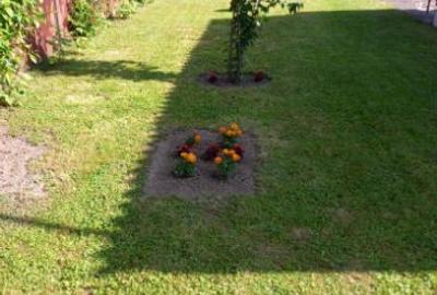 Casa zona ultracentrală, vis-a-vis PENNY Săcele, 2000 mp - 7