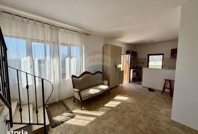 Casă cu 5 camere cu Teren 3400 Mp în Garoafa - 17