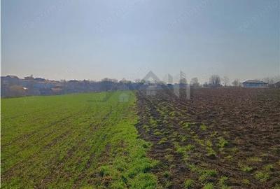 TEREN Extravilan  vladeni dambovita asfalt  20 km de ploiesti 5000 mp 3euro mp - 1