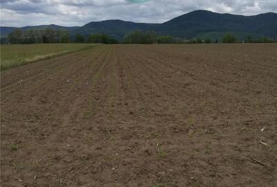 Teren de 18000 mp, în Ciritei