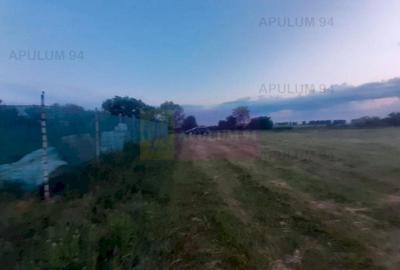 Teren aproape de Bucuresti langa padure între case - 11