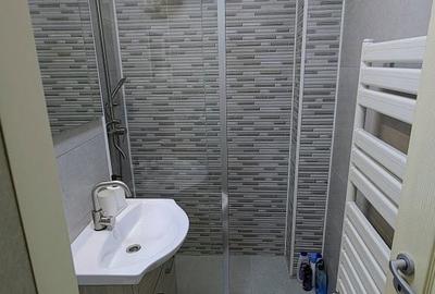 Apartament cu 2 camere, mobilat în Viitorului - 6
