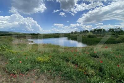 Teren de 10000 mp, în Șărmășag - 5