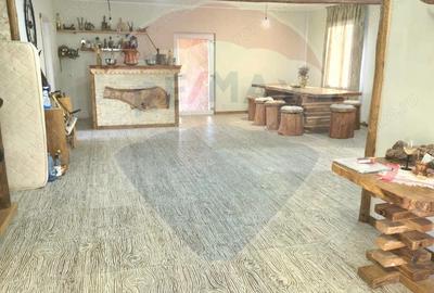 Casa / Vila cu 6 camere de vanzare - 5