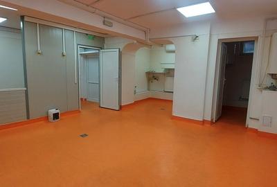 Proprietate specială, de 100 mp, în Pantelimon - 15