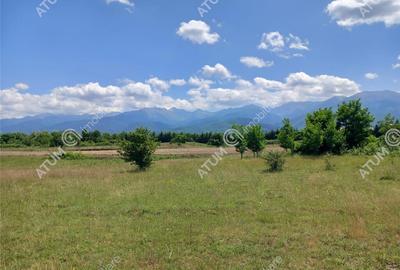 Teren intravilan 5000 mp pe Valea Avrigului, Sibiu - 2