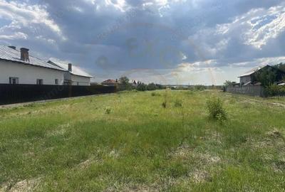 Teren intravilan 3474 mp Bradu-Auchan - 1