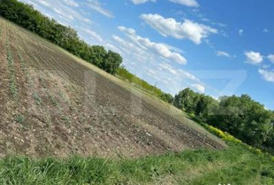 Teren de 4800 mp, în Central - 1