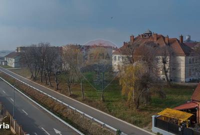 Casă cu 4 camere în Colonia Bod - 10
