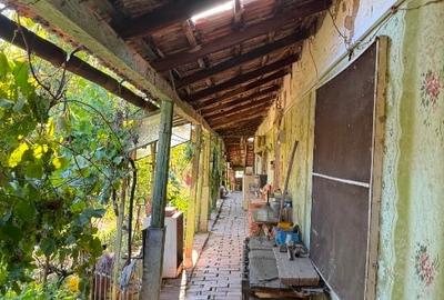 Vând casa in vatra veche sat  Bacova jud.Timiș - 3
