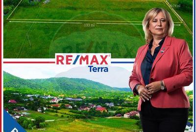 NOU - TEREN DE VANZARE - Cicarlau - 2