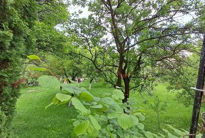 3 camere ,Centru 87 mp gradina,  Emil Racovita!! 3 camere ,Centru 87 mp gradina,  Emil Racovita!! - 12