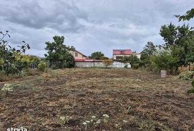 Casă cu 4 camere cu Teren 1400 Mp în Palazu Mare - 4