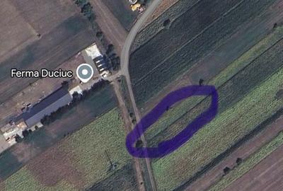 Teren de 820 mp, în Ipotești - 3