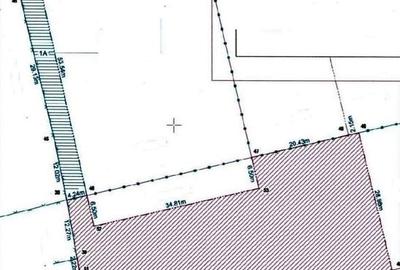 Teren in Moara Vlasiei, 10 min de Bucuresti, toate utilitatile! - 3