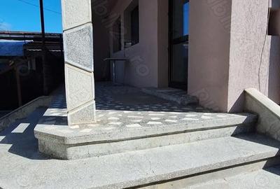 Spațiu comercial, de 60 mp, în Calea Doftanei - 7